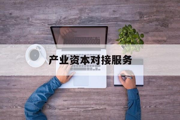 产业资本对接服务(产业资本对接服务包括哪些)沧州市
